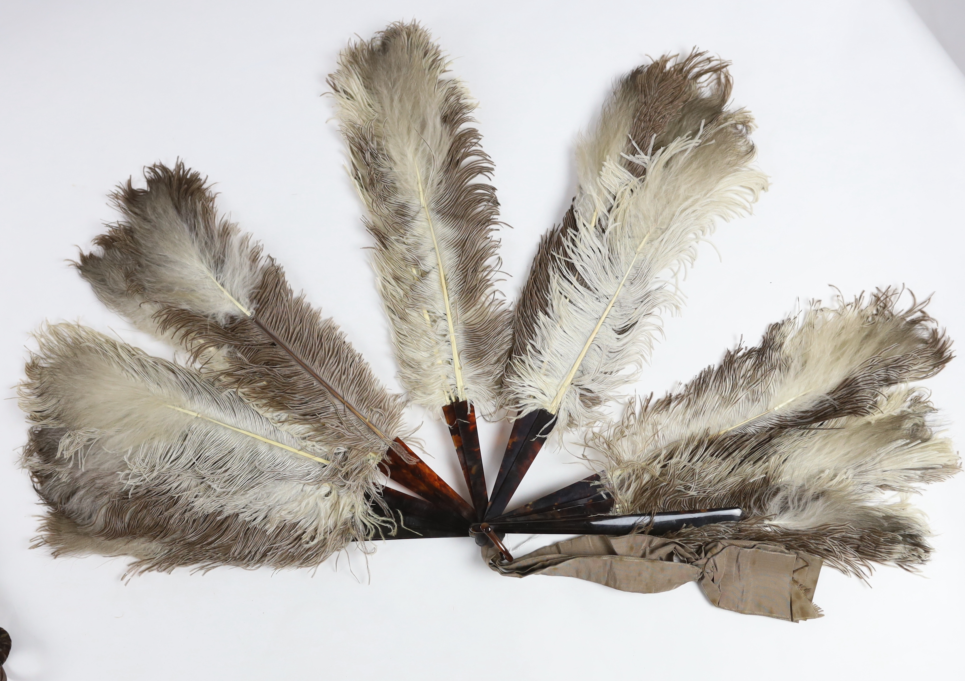 Two early 20th century brown and cream Ostrich feather fans, with tortoiseshell guards, one large fan, the other smaller